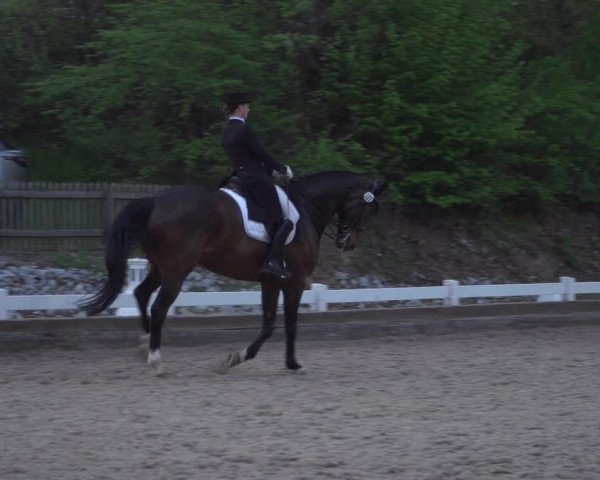 Reitturnier Mettmann - Reitanlage Löckenhoff 2018