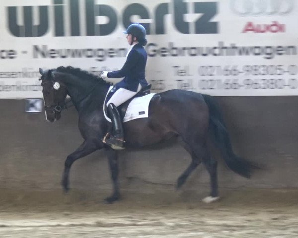 Reitturnier Jüchen-Waat 2018