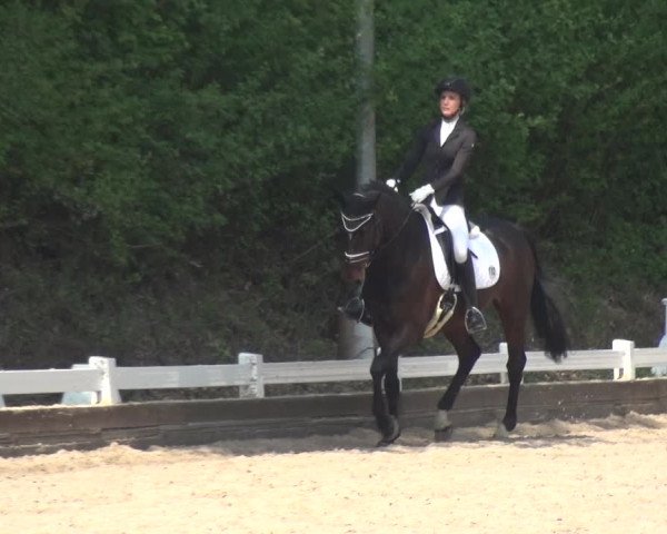 Reitturnier Mettmann - Reitanlage Löckenhoff 2018