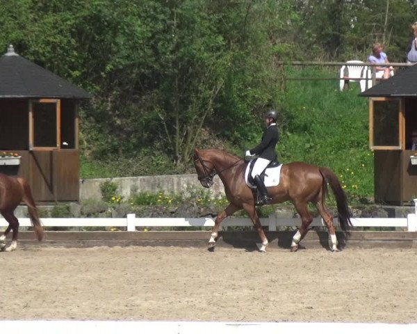 Reitturnier Mettmann - Reitanlage Löckenhoff 2018