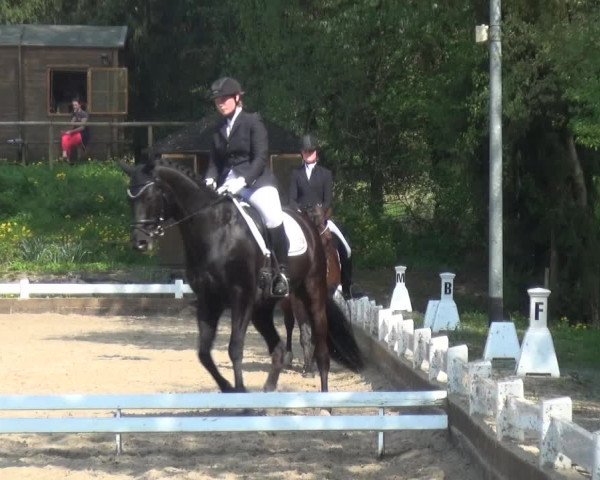 Reitturnier Mettmann - Reitanlage Löckenhoff 2018