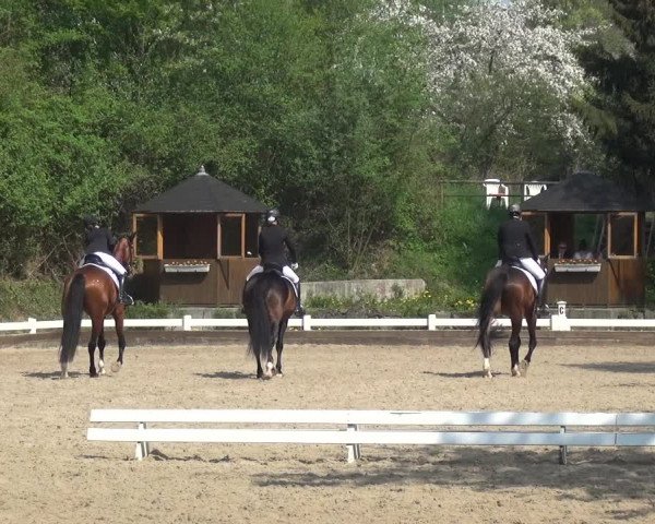 Reitturnier Mettmann - Reitanlage Löckenhoff 2018