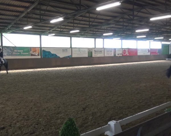Reitturnier Jüchen-Waat 2018