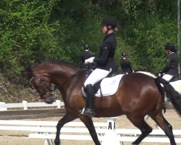 Reitturnier Mettmann - Reitanlage Löckenhoff 2018