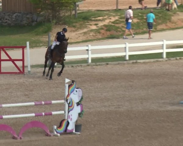 Reitturnier Kreuth 2018