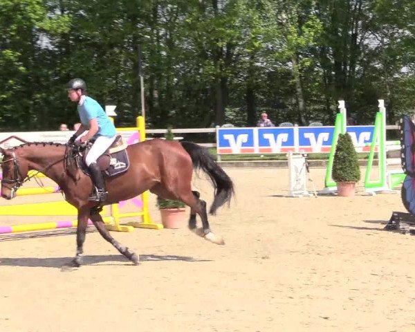Reitturnier Nienberge 2018