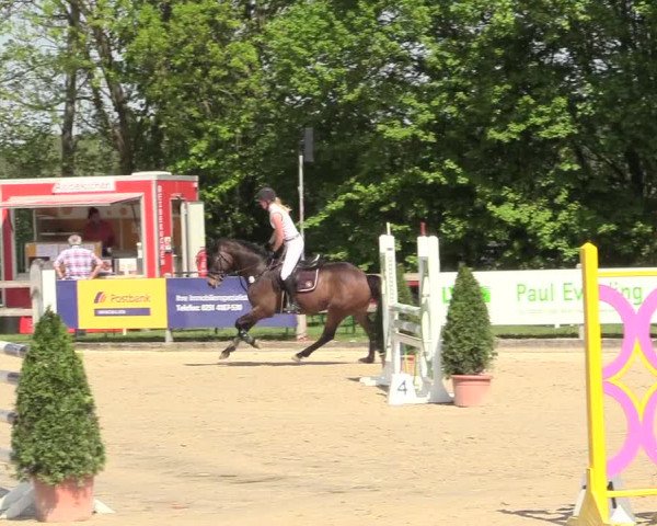Reitturnier Nienberge 2018