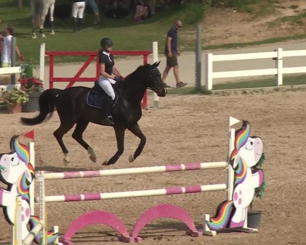 Reitturnier Kreuth 2018