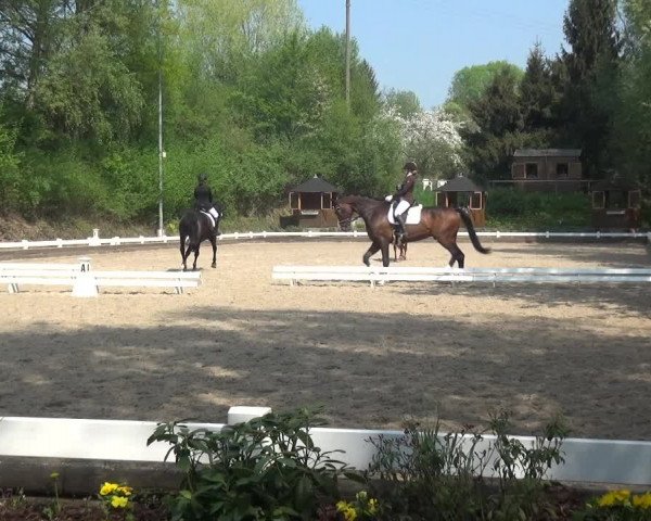 Reitturnier Mettmann - Reitanlage Löckenhoff 2018