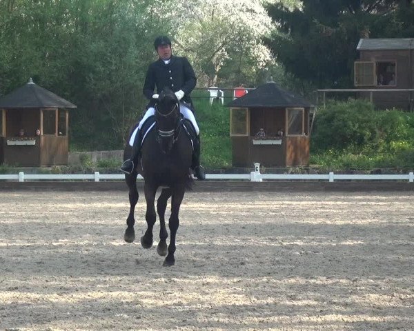 Reitturnier Mettmann - Reitanlage Löckenhoff 2018