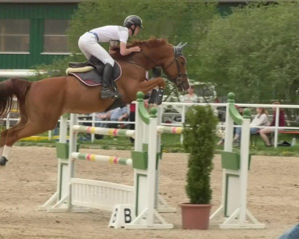 Reitturnier Langenau 2018