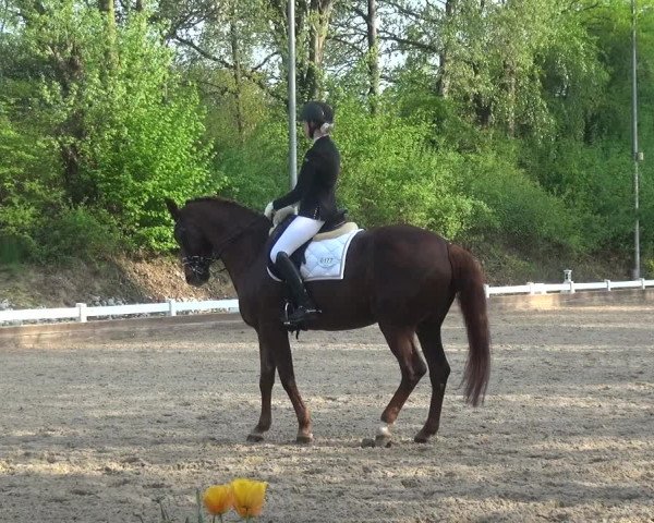 Reitturnier Mettmann - Reitanlage Löckenhoff 2018