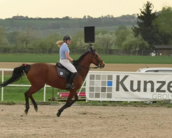 Reitturnier Langenau 2018