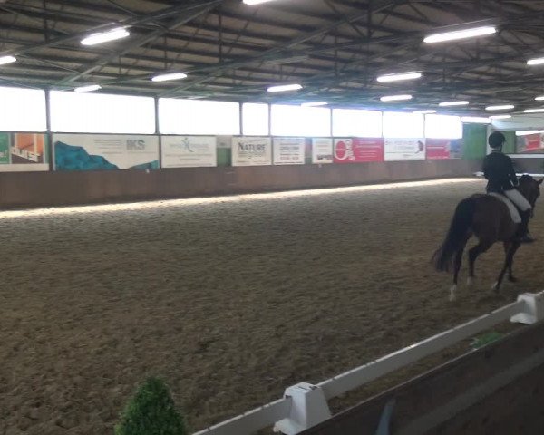 Reitturnier Jüchen-Waat 2018