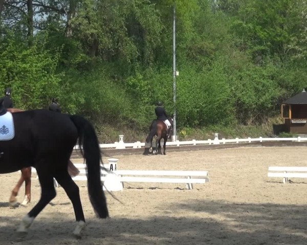 Reitturnier Mettmann - Reitanlage Löckenhoff 2018