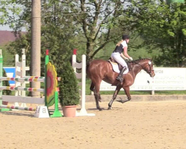 Reitturnier Nienberge 2018