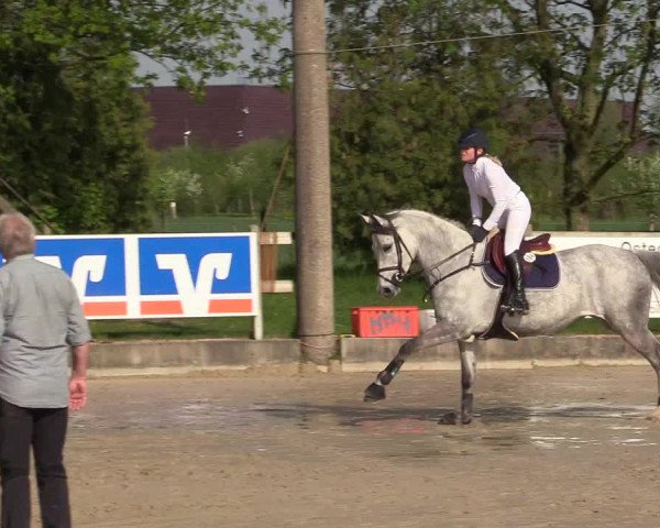 Reitturnier Nienberge 2018