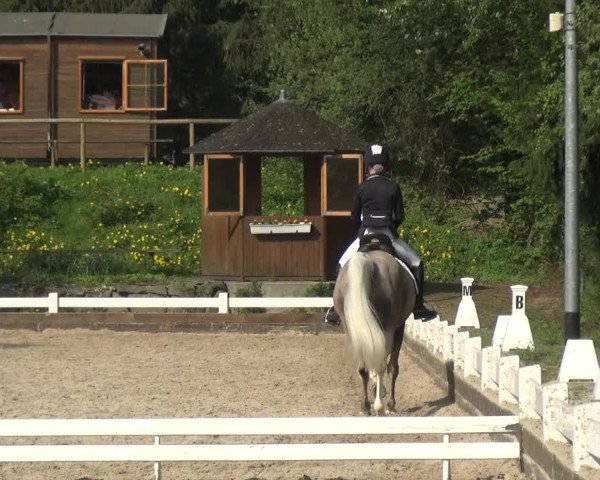 Reitturnier Mettmann - Reitanlage Löckenhoff 2018