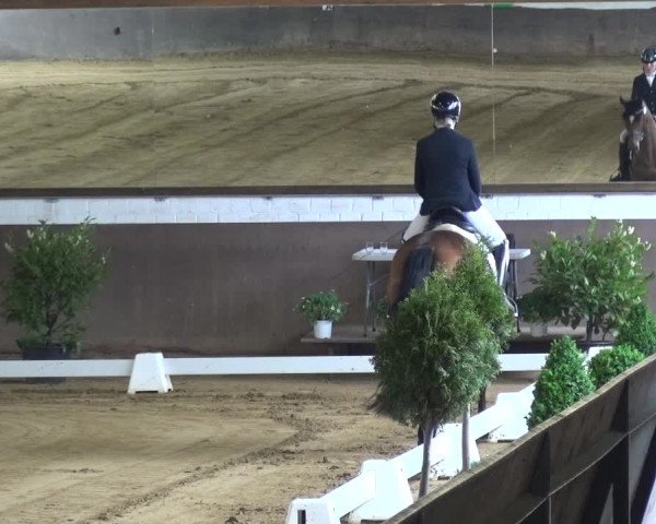 Reitturnier Jüchen-Waat 2018