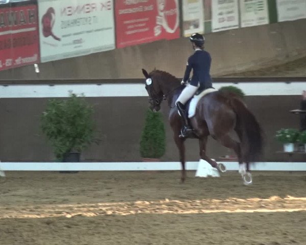 Reitturnier Jüchen-Waat 2018