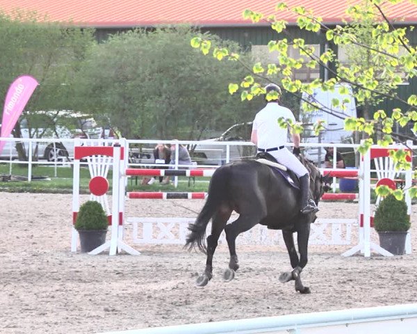 Reitturnier Langenau 2018