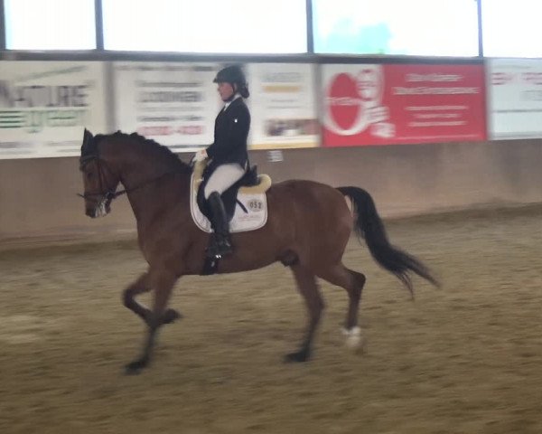 Reitturnier Jüchen-Waat 2018