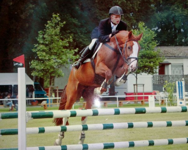 broodmare Gerlinde 30 (Hanoverian, 2002, from Graf Top)