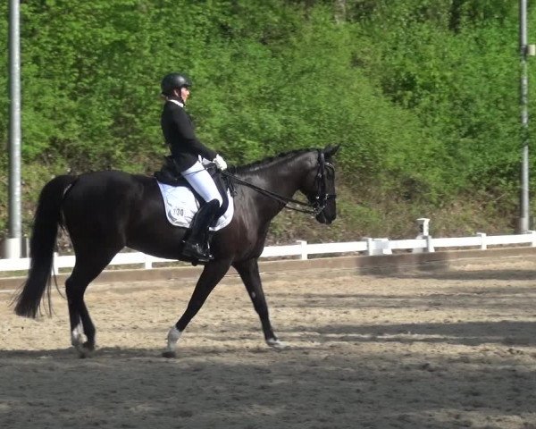 Reitturnier Mettmann - Reitanlage Löckenhoff 2018