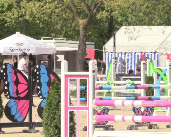 Reitturnier Nienberge 2018