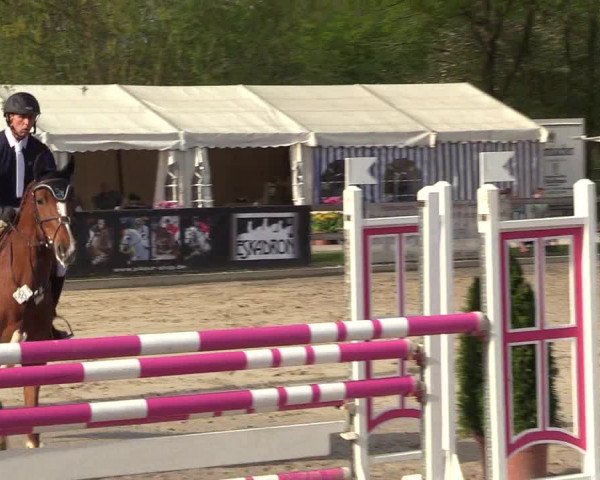 Reitturnier Nienberge 2018