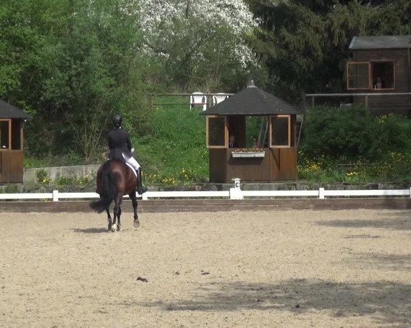 Reitturnier Mettmann - Reitanlage Löckenhoff 2018