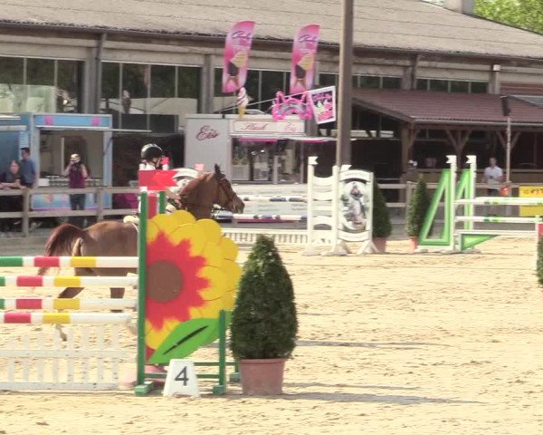 Reitturnier Nienberge 2018