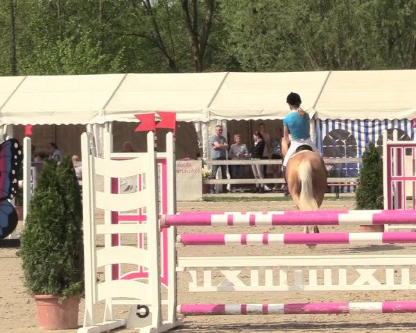 Reitturnier Nienberge 2018