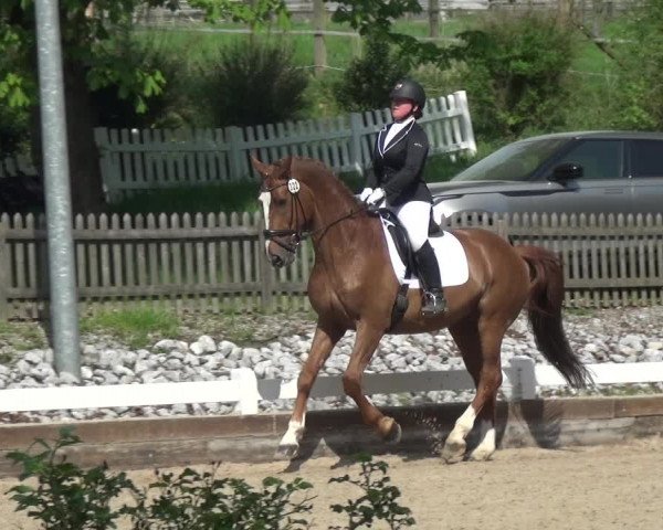Reitturnier Mettmann - Reitanlage Löckenhoff 2018