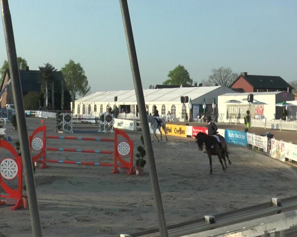 Reitturnier Werne-Lenklar 2018