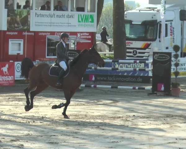 Lenklarer Reitertage 2018