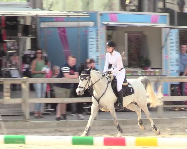 Reitturnier Nienberge 2018