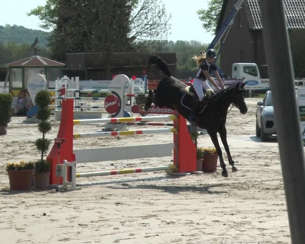 Lenklarer Reitertage 2018