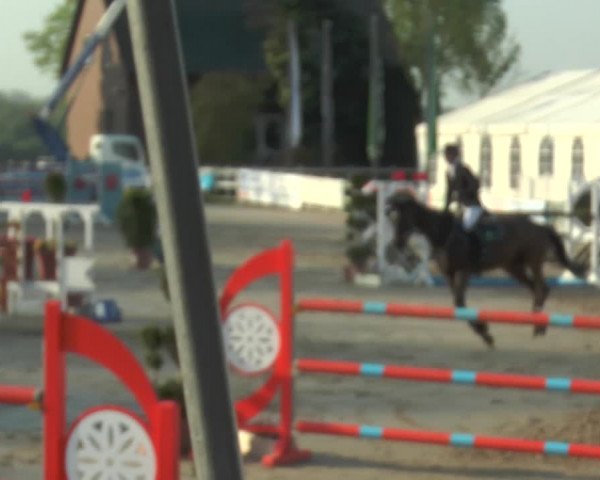 Lenklarer Reitertage 2018