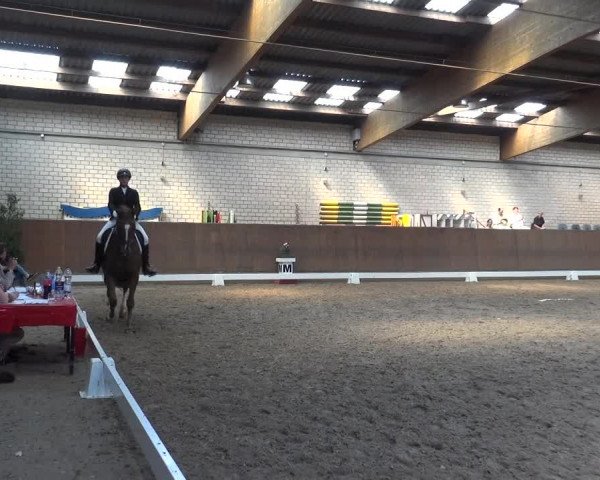 Reitturnier Leverkusen-Rheindorf 2018