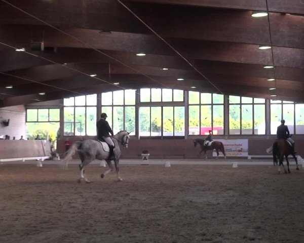 Reitturnier Leverkusen-Rheindorf 2018