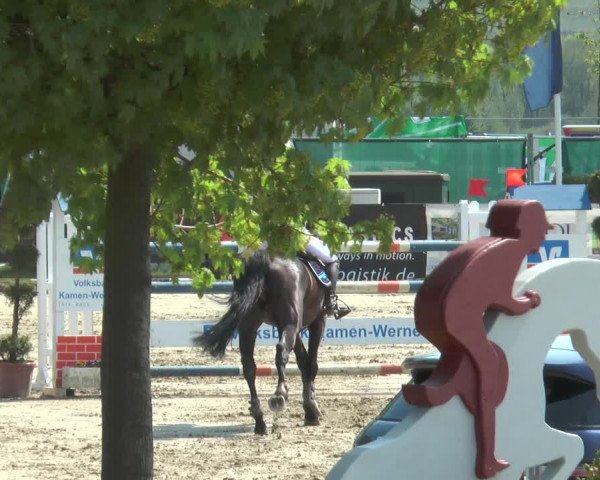 Reitturnier Werne-Lenklar 2018