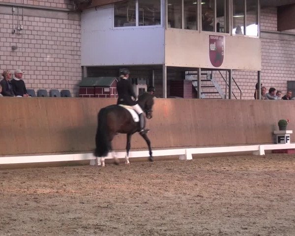 Reitturnier Leverkusen-Rheindorf 2018
