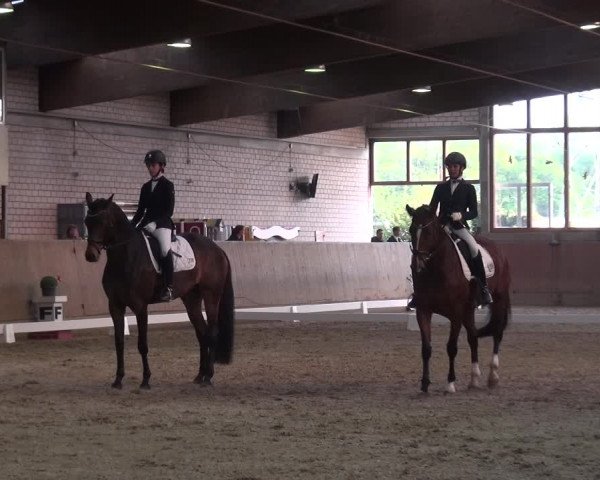Reitturnier Leverkusen-Rheindorf 2018