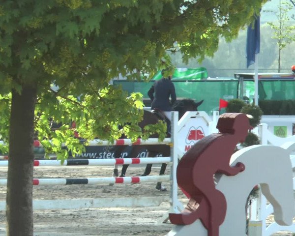 Reitturnier Werne-Lenklar 2018