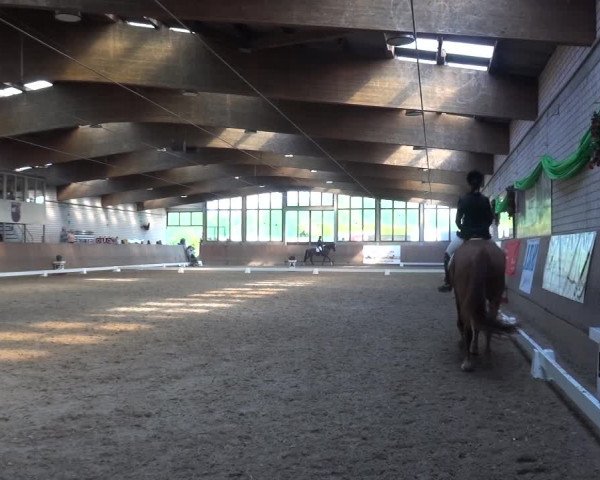Reitturnier Leverkusen-Rheindorf 2018