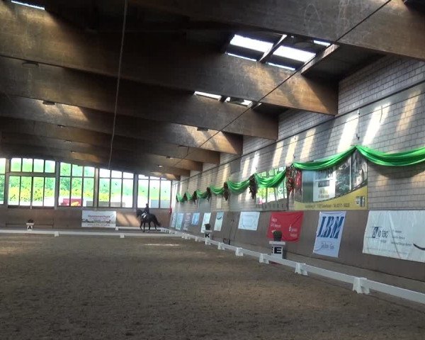 Reitturnier Leverkusen-Rheindorf 2018