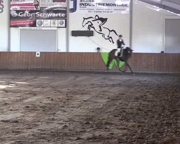 Reitturnier Dohren 2018
