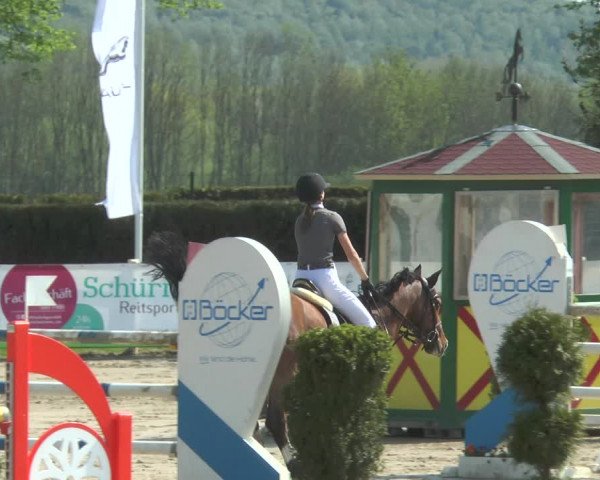 Lenklarer Reitertage 2018