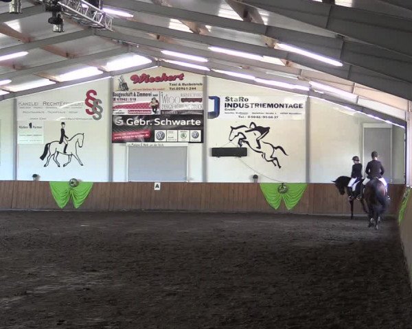 Reitturnier Dohren 2018